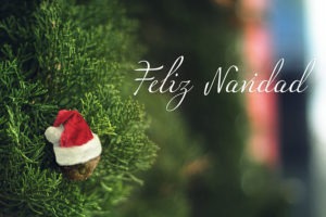 Read more about the article Feliz Navidad !